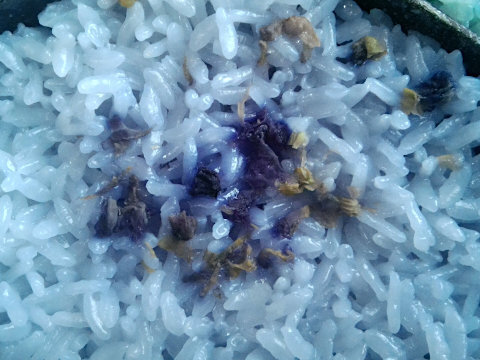 P_20230128_120423.jpg