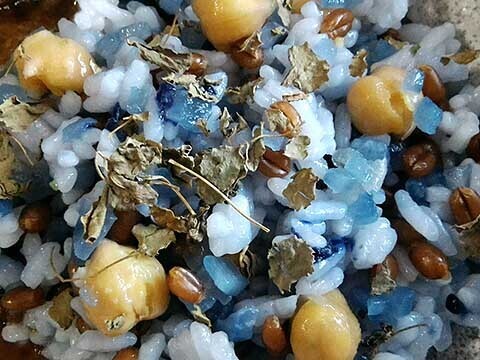 P_20230810_115034.jpg