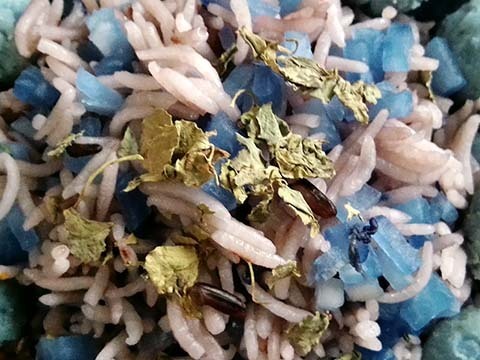 P_20240618_120339.jpg