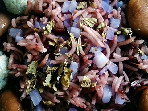 P_20240629_131312.jpg